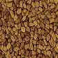 Inulin