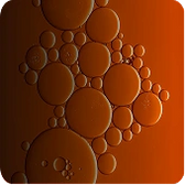 Curcumin (24x)